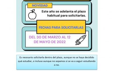 Becas para estudios postobligatorios