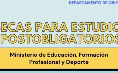 Becas para estudios postobligatorios