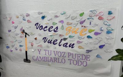 25 de noviembre